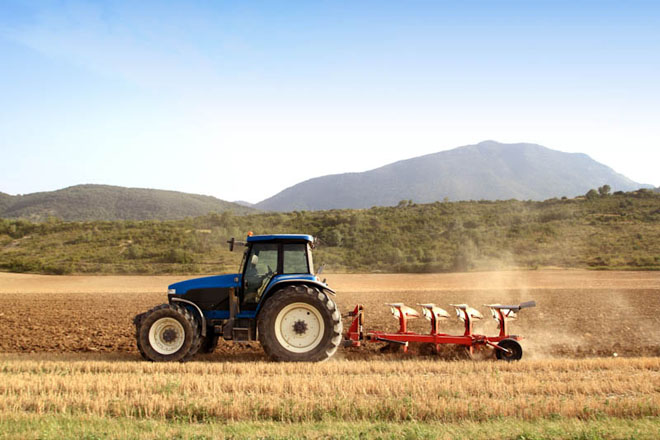 agriculture agriculture