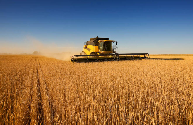 agriculture agriculture